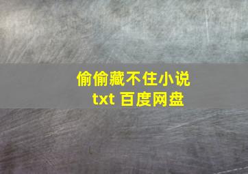 偷偷藏不住小说txt 百度网盘